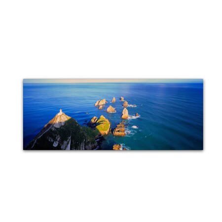 Trademark Fine Art David Evans 'Nugget Point-NZ' Canvas Art, 8x24 DE0067-C824GG